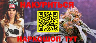 крисы Можга