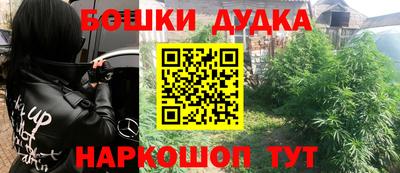 стафф Моздок