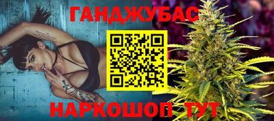 крисы Можга