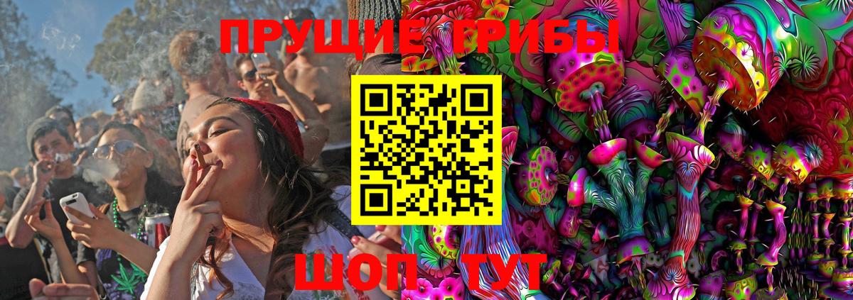 Псилоцибиновые грибы прущие грибы  Вход с VPN  Туймазы 